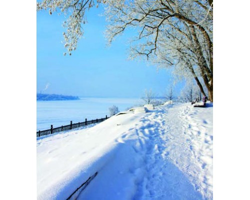 Desk Calendar DC 8